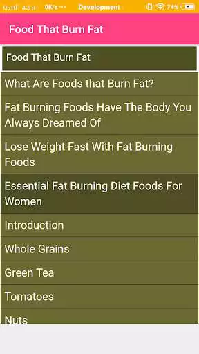 Play Food That Burn Fat as an online game Food That Burn Fat with UptoPlay