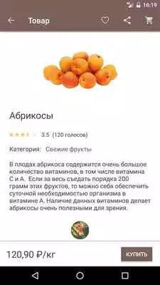 Play Food Up