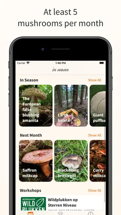Play Foraged and enjoy Foraged with UptoPlay Play Foraged and enjoy Foraged with UptoPlay