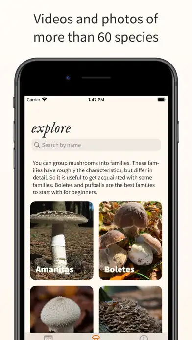 Play Foraged as an online game online Foraged with UptoPlay Play Foraged as an online game Foraged with UptoPlay