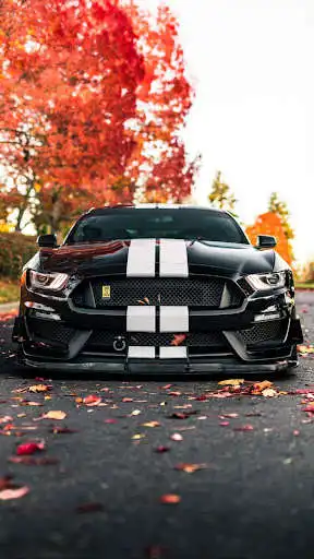 Play Ford Mustang Wallpapers  and enjoy Ford Mustang Wallpapers with UptoPlay