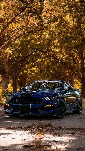 Play Ford Mustang Wallpapers as an online game Ford Mustang Wallpapers with UptoPlay