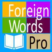 Free play online Foreign Words Pro APK