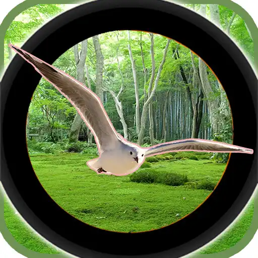 Play Forest 3D Birds Hunting - Sniper Shooting APK
