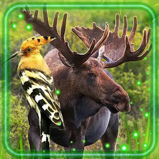Play Forest Animals and Birds APK