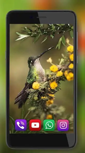 Play Forest Animals and Birds  and enjoy Forest Animals and Birds with UptoPlay