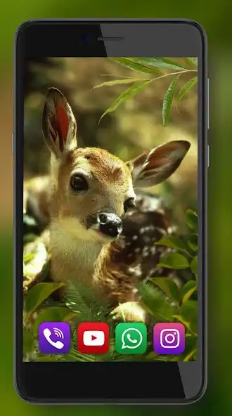 Play Forest Animals and Birds as an online game Forest Animals and Birds with UptoPlay