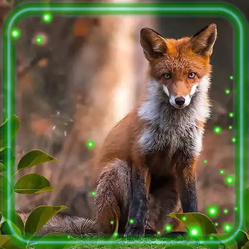 Play Forest Animals Baby APK