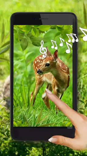 Play Forest Animals Baby  and enjoy Forest Animals Baby with UptoPlay