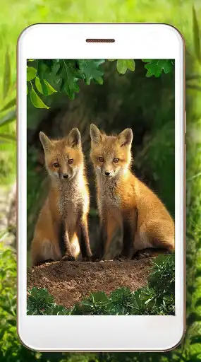 Play Forest Animals Baby as an online game Forest Animals Baby with UptoPlay