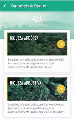 Play ForestApp as an online game ForestApp with UptoPlay