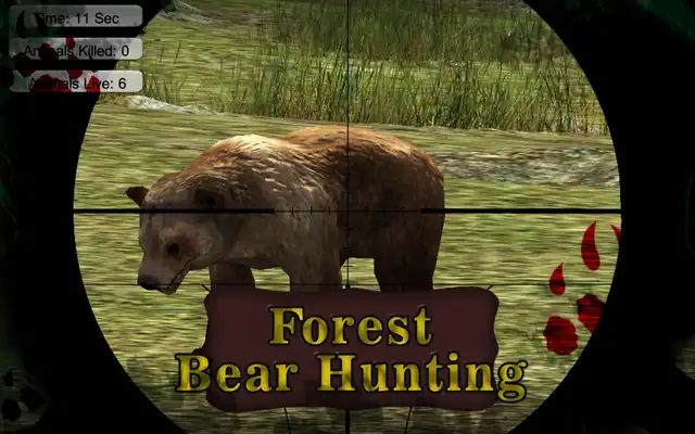 Play Forest Bear Hunting Play Forest Bear Hunting