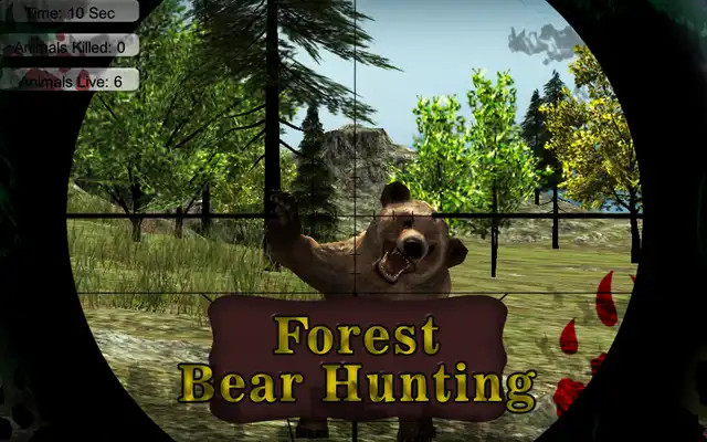 Play Forest Bear Hunting Play Forest Bear Hunting