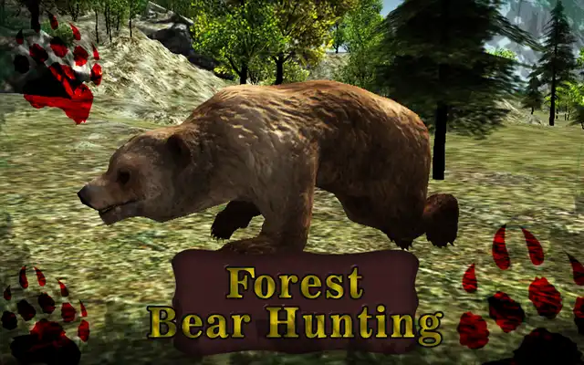 Play Forest Bear Hunting Play Forest Bear Hunting