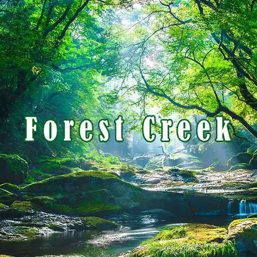 Play Forest Creek Theme APK