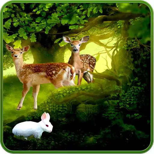 Play Forest Deer Live Wallpaper APK