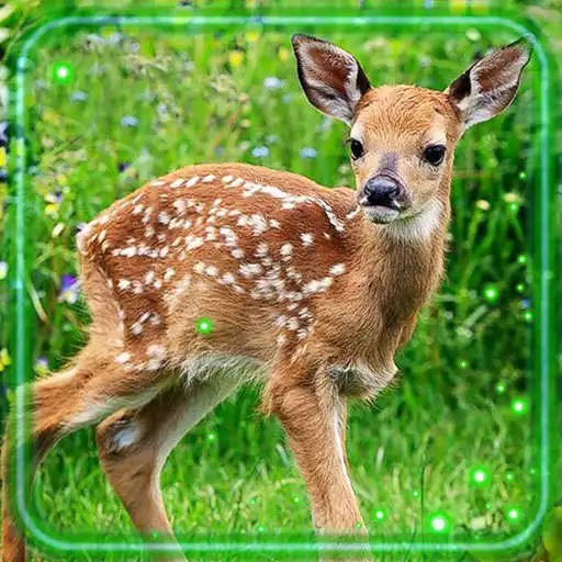 Play Forest Deers and Elks APK