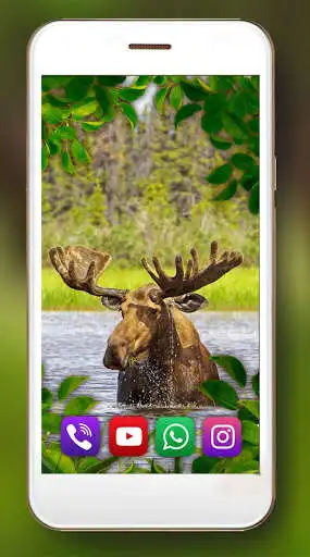 Play Forest Deers and Elks as an online game Forest Deers and Elks with UptoPlay