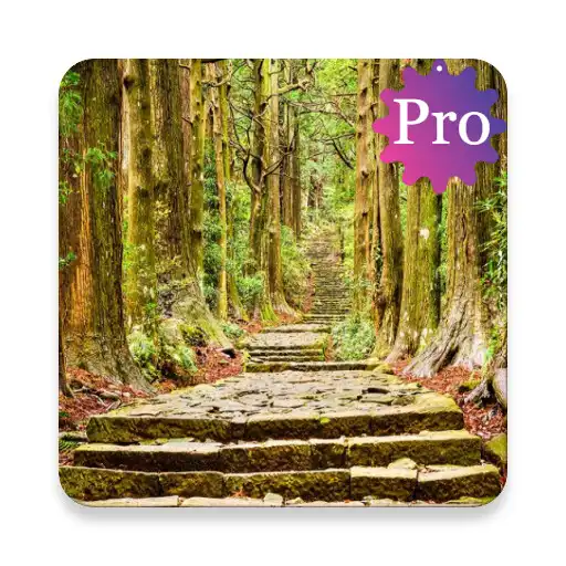 Play Forest Engineering Pro APK Play Forest Engineering Pro APK