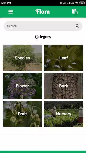 Play Forest Flora Odisha as an online game Forest Flora Odisha with UptoPlay