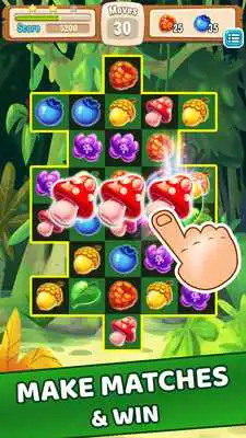 Play Forest Fun Match 3