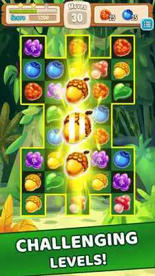 Play Forest Fun Match 3