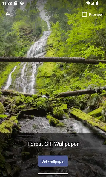 Play Forest GIF Wallpaper  and enjoy Forest GIF Wallpaper with UptoPlay