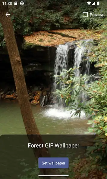 Play Forest GIF Wallpaper as an online game Forest GIF Wallpaper with UptoPlay