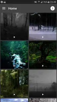 Play Forest Live (GIF) Wallpapers Play Forest Live (GIF) Wallpapers