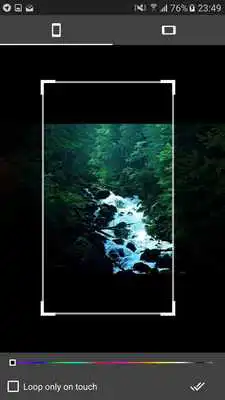 Play Forest Live (GIF) Wallpapers Play Forest Live (GIF) Wallpapers