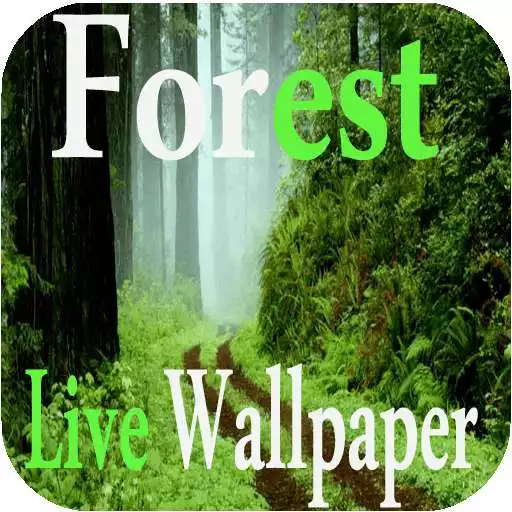 Free play online Forest Live Wallpapers  APK