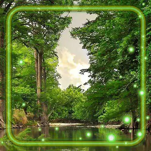Play Forest Nature Live Wallpaper APK
