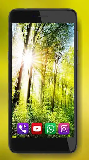 Play Forest Nature Live Wallpaper  and enjoy Forest Nature Live Wallpaper with UptoPlay