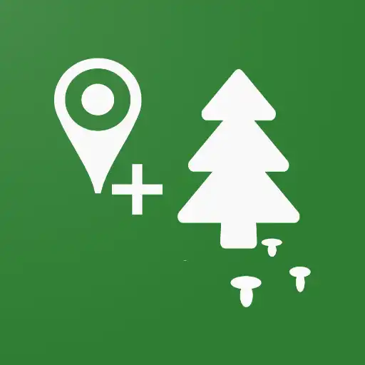 Play Forest Navigator APK Play Forest Navigator APK