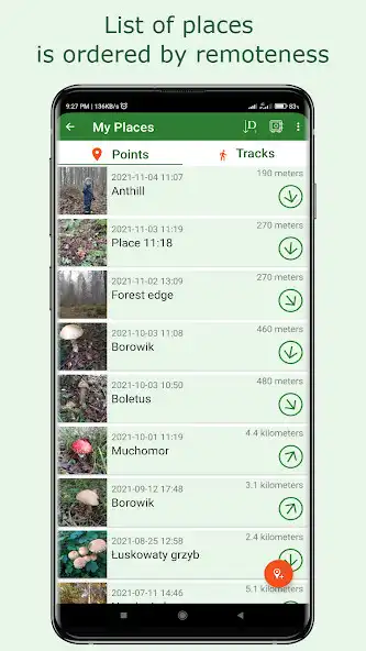 Play Forest Navigator as an online game Forest Navigator with UptoPlay
