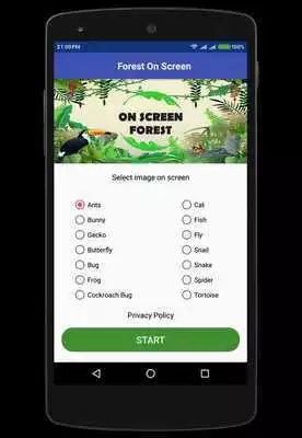 Play Forest On Screen