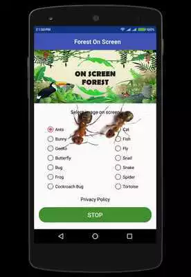 Play Forest On Screen