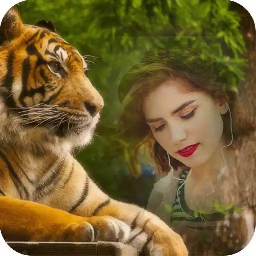 Free play online Forest photo frame APK