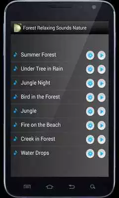 Play Forest Relaxing Sounds Nature Play Forest Relaxing Sounds Nature