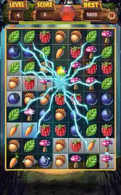 Play Forest Rescue