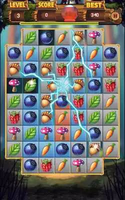 Play Forest Rescue