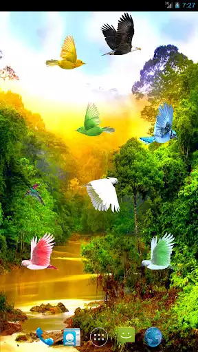 Play Forest River Live Wallpaper