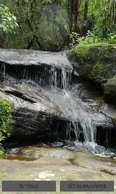 Play Forest Rock Water LWP