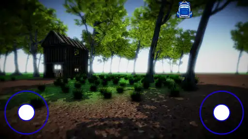 Play Forest Run