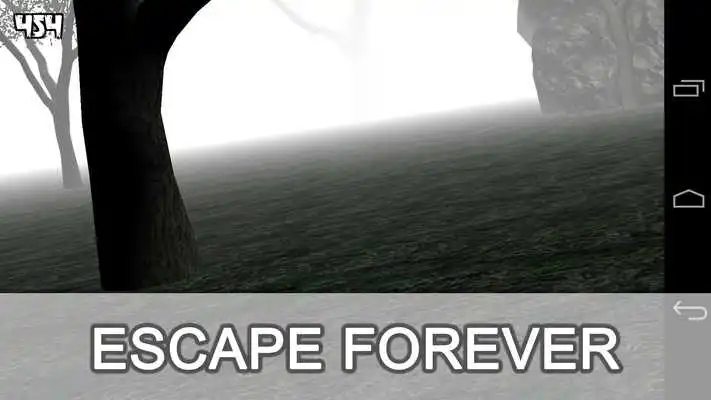 Play Forest Run