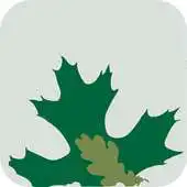 Free play online Forestry for the Bay Mobile APK