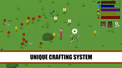 Play Forest