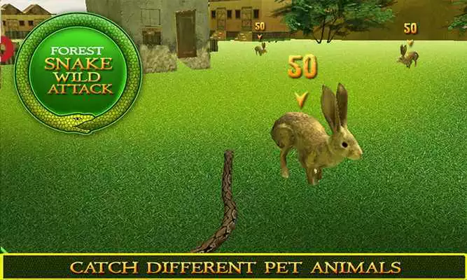 Play Forest Snake Wild Attack 3D