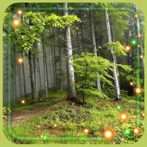 Play Forest Songs Live Wallpaper APK Play Forest Songs Live Wallpaper APK