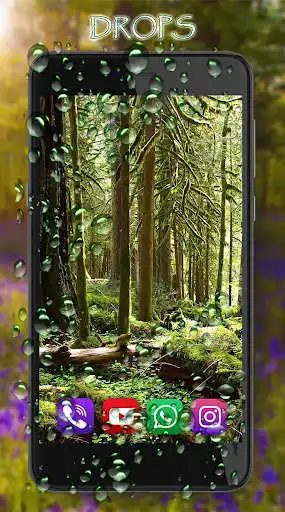 Play Forest Songs Live Wallpaper as an online game Forest Songs Live Wallpaper with UptoPlay